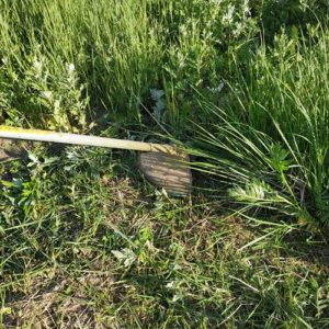 Strimmer cutting long grass