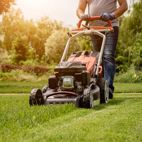   man cutting grass with lawnmower